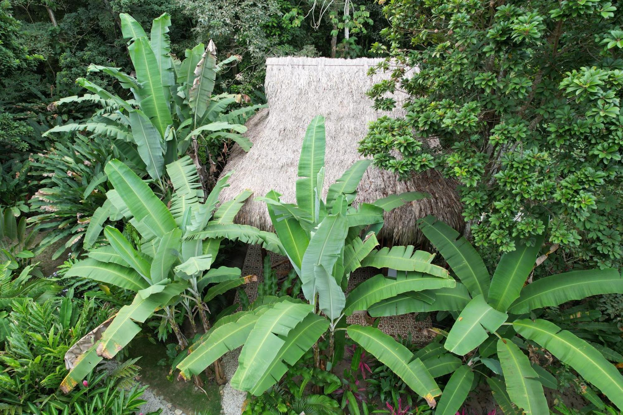 Salvia Madre Hotel Guachaca ภายนอก รูปภาพ