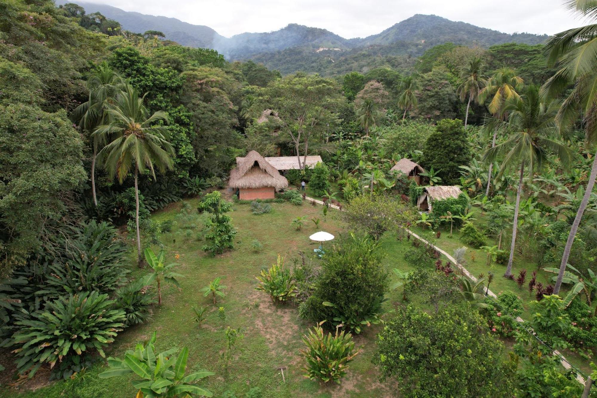 Salvia Madre Hotel Guachaca ภายนอก รูปภาพ