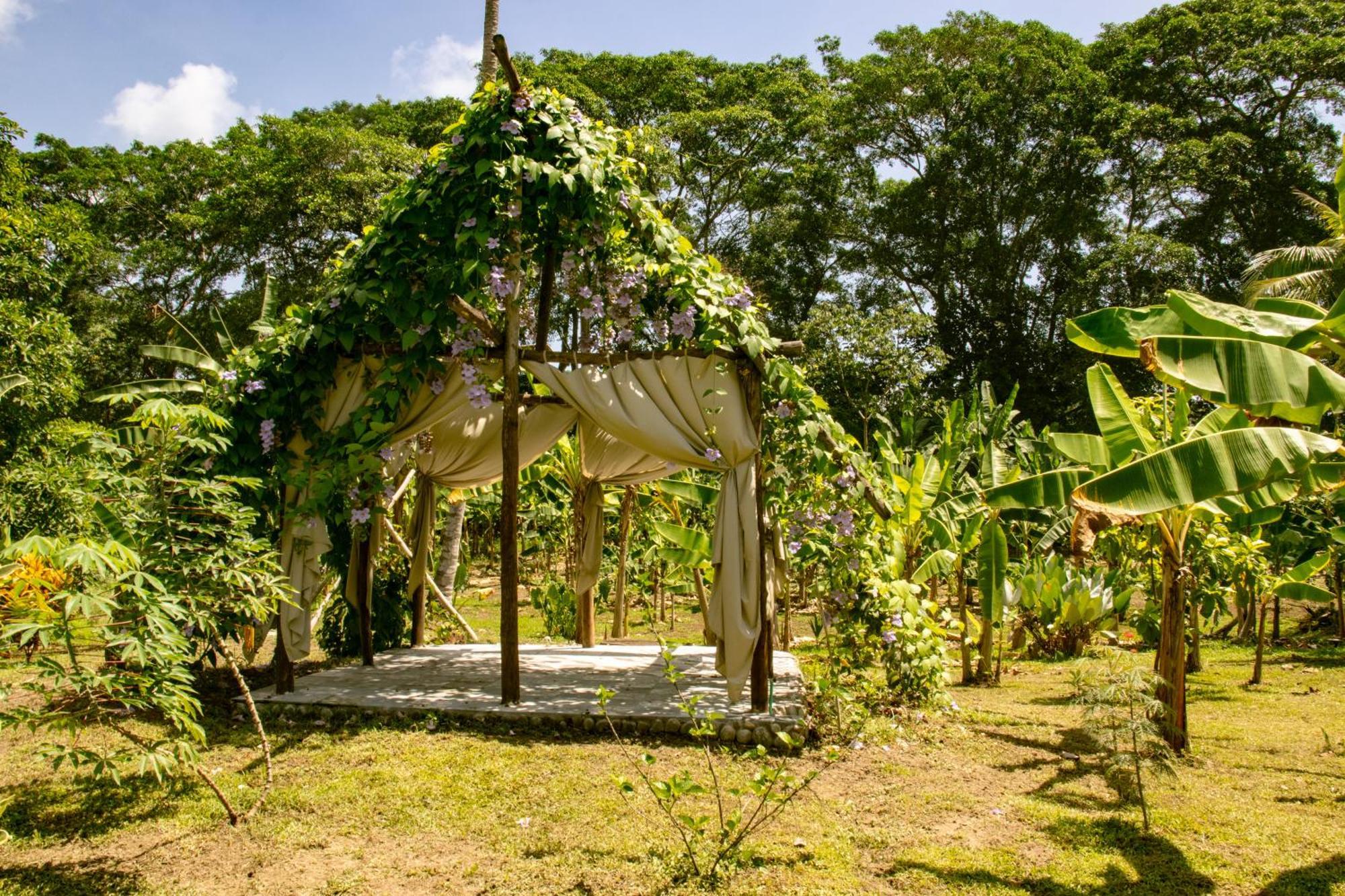 Salvia Madre Hotel Guachaca ภายนอก รูปภาพ