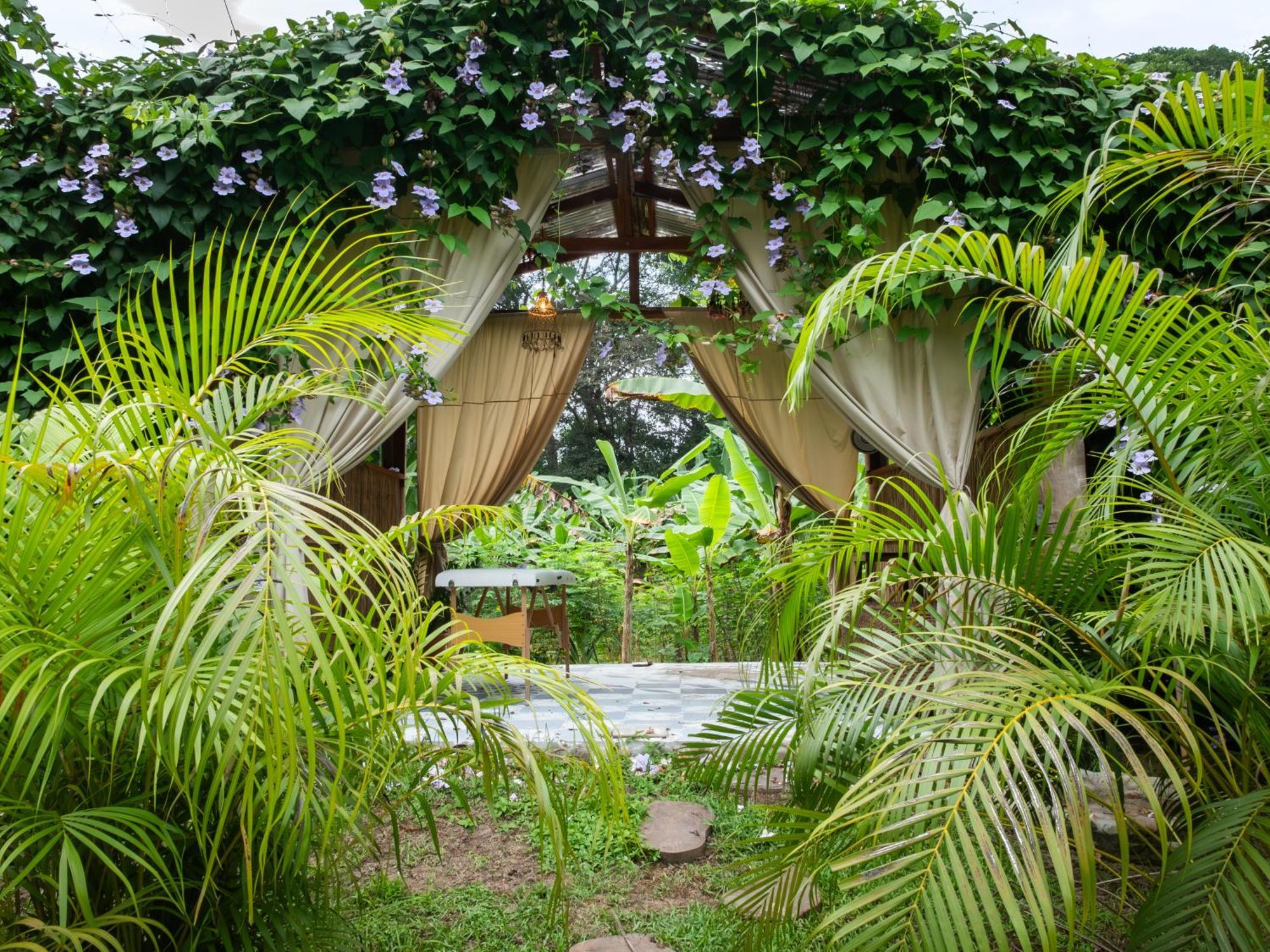 Salvia Madre Hotel Guachaca ภายนอก รูปภาพ