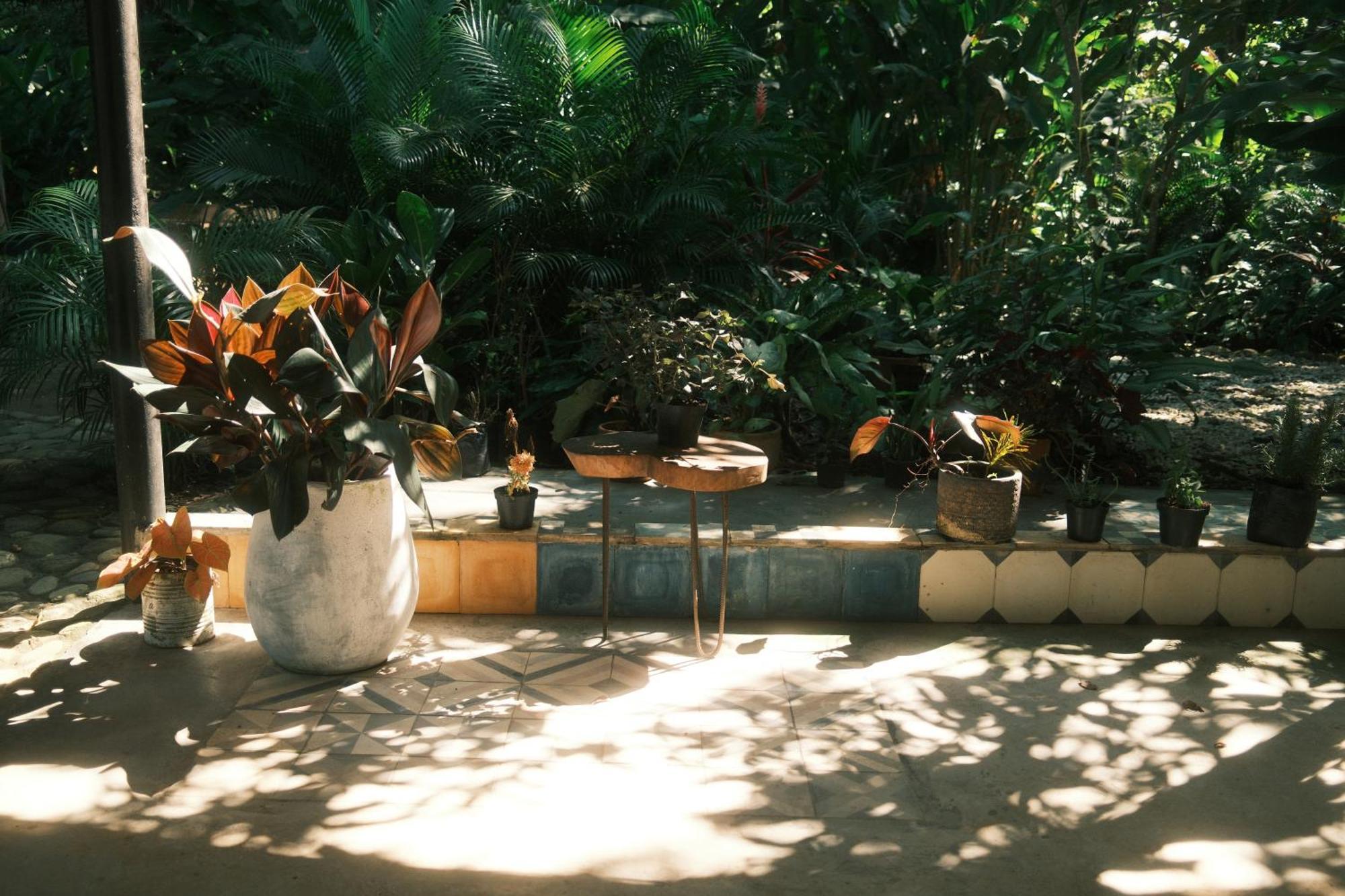 Salvia Madre Hotel Guachaca ภายนอก รูปภาพ