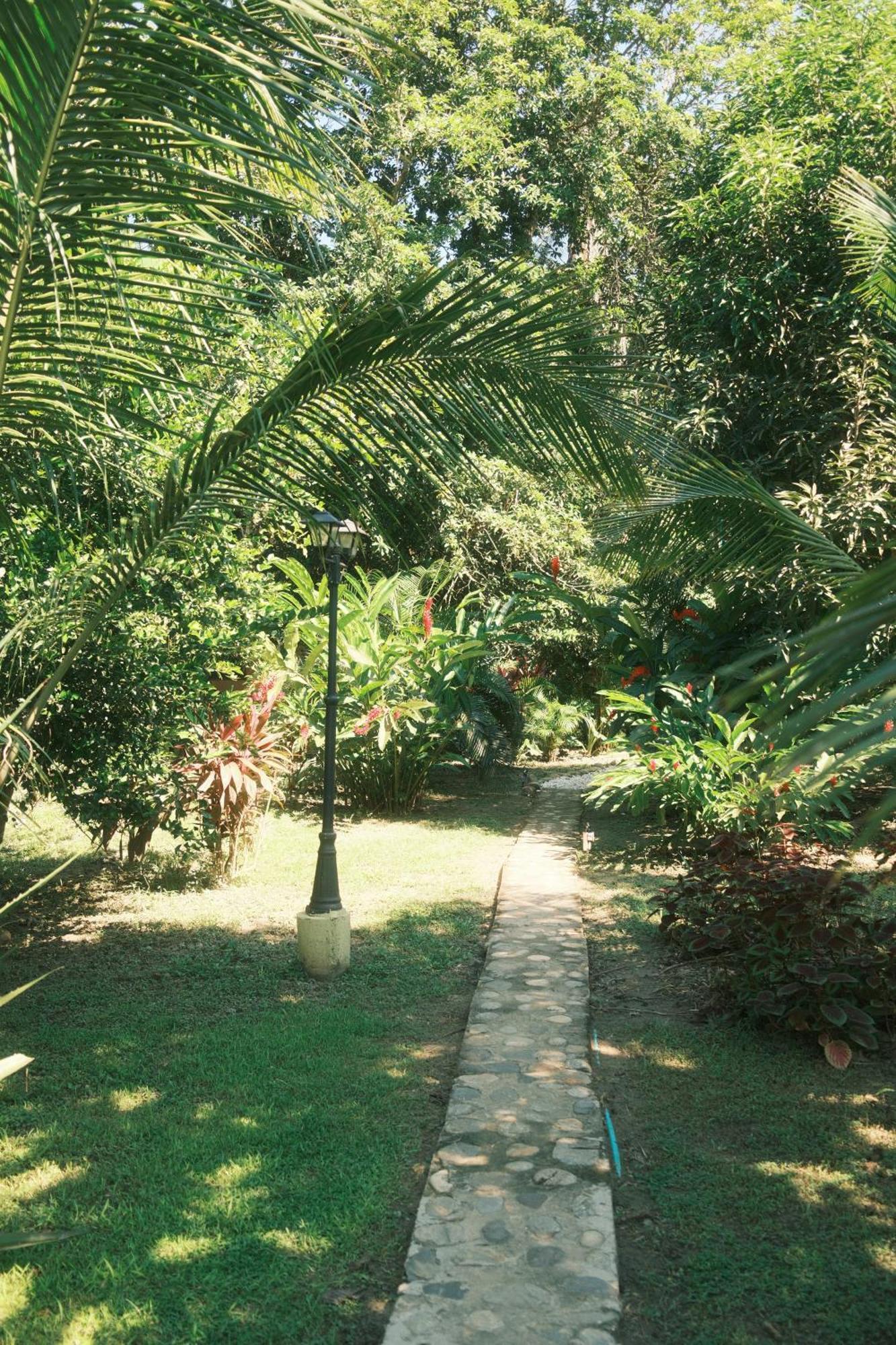Salvia Madre Hotel Guachaca ภายนอก รูปภาพ