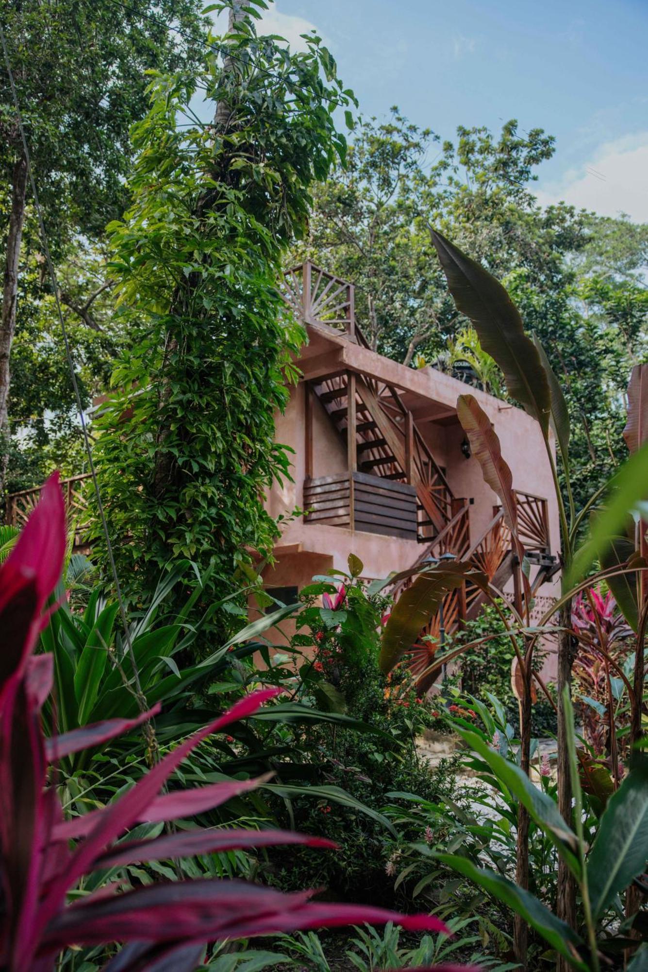 Salvia Madre Hotel Guachaca ภายนอก รูปภาพ