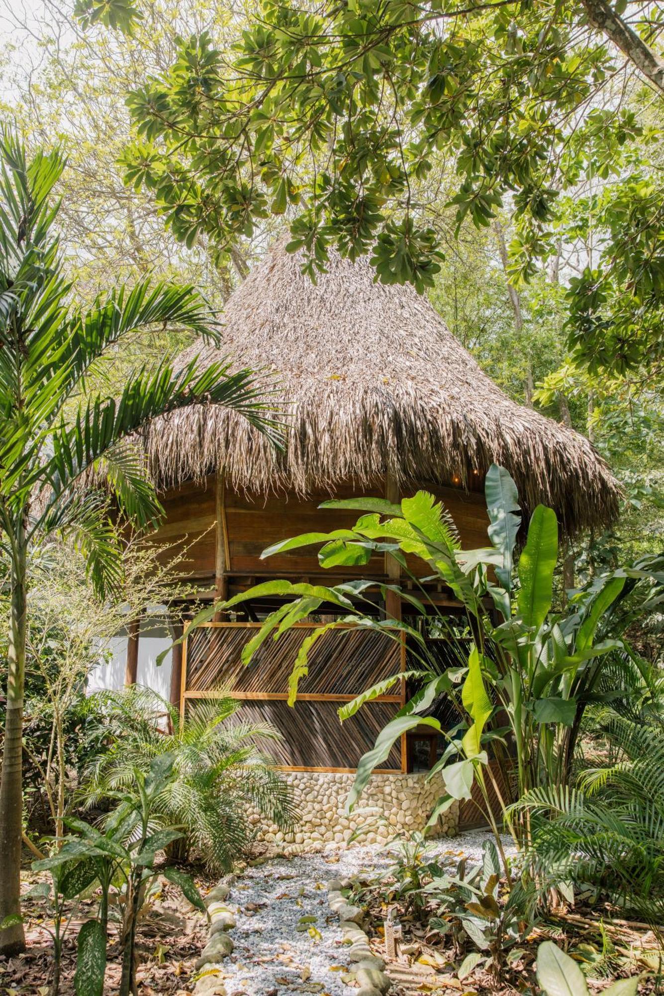 Salvia Madre Hotel Guachaca ภายนอก รูปภาพ